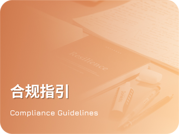 涉外合规指引
